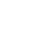 megadyne-150x150-1-150x150-1-1.webp