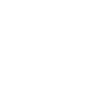skf-1.webp